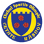 ACS Olimpic Cetate Rasnov logo