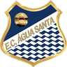 Agua Santa SP Youth logo