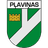 Plavinas DM logo