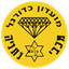 Bnot Netanya Women logo