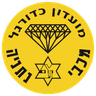 Bnot Netanya Women logo