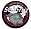 Sejong University logo