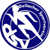 SV Dellach Gail logo - Grafenstein VS Sv Dellach Gail Result
