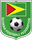 Guyana logo