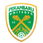 Pekanbaru FC logo