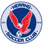 Nerang logo