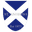 Leicester St Andrews logo