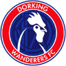 Dorking logo