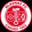 Blagnac logo
