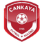 Cankaya FK logo