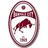 Banyule City (W) logo
