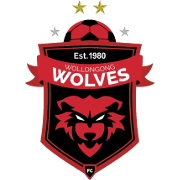 Wollongong Wolves logo