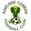 Adelaide Cobras FC logo