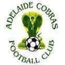 Adelaide Cobras FC logo
