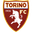 Torino logo