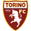 Torino logo