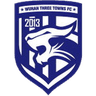 Wuhan Three Towns U20 logo