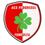 ACS Progresul Fundulea logo