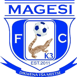 Magesi logo