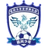 Dongying Wind Chasing Team logo - Shandong Qilu Football Super League 36609 Live