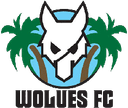 Wolues FC logo - Transvaal VS Wolues Fc Live Score