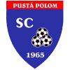 Pusta Polom logo - Havirov VS Pusta Polom Sport