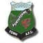 Pontardawe Town logo