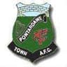 Pontardawe Town logo