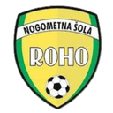 NS Roho Vbo logo - Vbo VS Malecnik Live Score