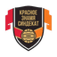Red Banner SyndEkat logo