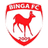 Binga logo