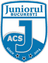 ACS Juniorul 2014 U19 logo