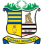 Solihull Moors logo
