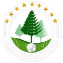CD Hondupino logo - Fc VS Cd Hondupino Live Score