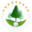 CD Hondupino logo