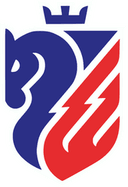 Botosani women logo - W VS Botosani Women Sport
