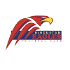Hindustan Eagles logo - Eagles VS Arrows Fc Score Today