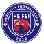 Hefei Sports School City U17 logo - Cyfl U 36562 Result