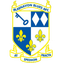 Blaenavon Blues logo