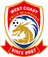 Qingdao West Coast U21 logo - Chinese U League 33815 Football Result