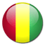 Guinea U20 logo