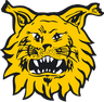 Ilves Tampere logo