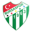 Bursaspor U21 logo