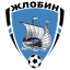 FK Zhlobin logo