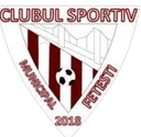 CSM Fetesti logo - Fetesti VS Fc Agricola Borcea Result Today