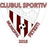CSM Fetesti logo