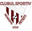 CSM Fetesti logo