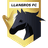 Llaneros FC logo