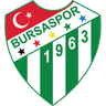 Bursaspor logo