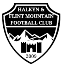 Flint Mountain logo